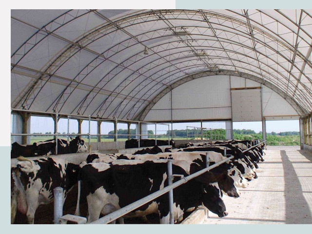 Тентовые коровники в Тамбове